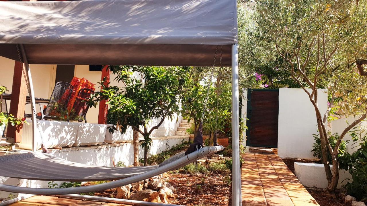 Vila House Oliva With Private Pool And Large Garden Stari Grad  Exteriér fotografie