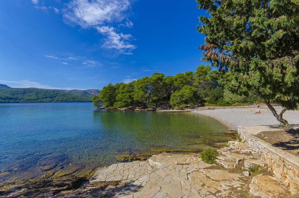 Vila House Oliva With Private Pool And Large Garden Stari Grad  Exteriér fotografie